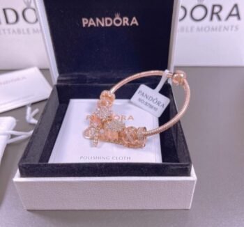 Pandora Charm Bracelet